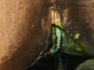 Pintura predial